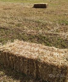 Balle piccole di fieno