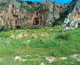 Terreno agricolo uliveto