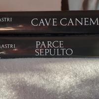 Comastri Montanari e un detective nell'antica Roma