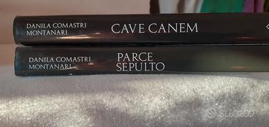 Comastri Montanari e un detective nell'antica Roma