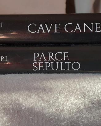 Comastri Montanari e un detective nell'antica Roma