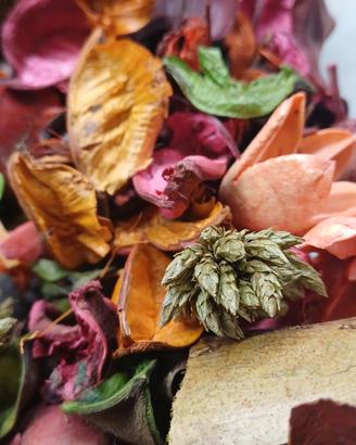pot pourri