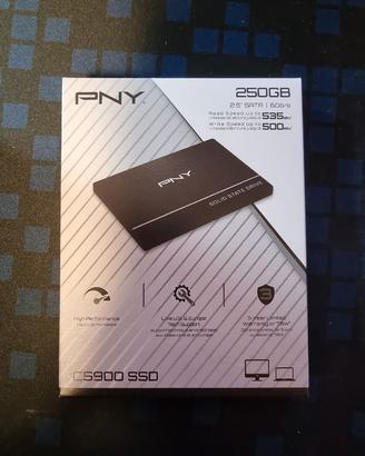 PNY SATA SSD 250GB
