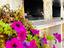 Immagine 30