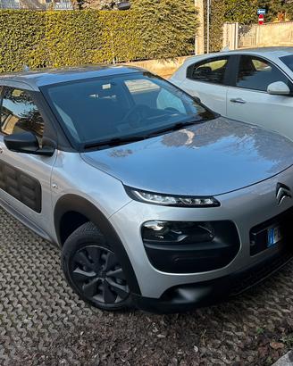 C4 cactus 1600 blu hdi 100