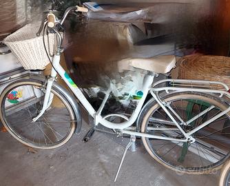 2 biciclette senza cambio