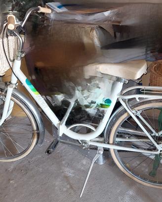 2 biciclette senza cambio