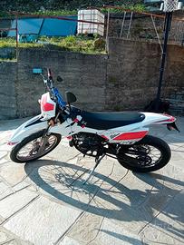 beta rr 50 