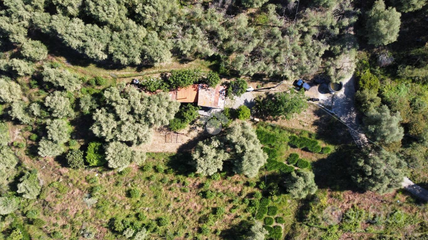 RUSTICO A PERINALDO - Vista 4