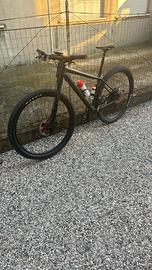 Canondale FSI carbonio Lefty