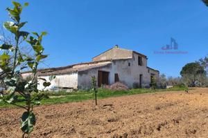 Villa di 6200 m² con 5 locali a Partinico