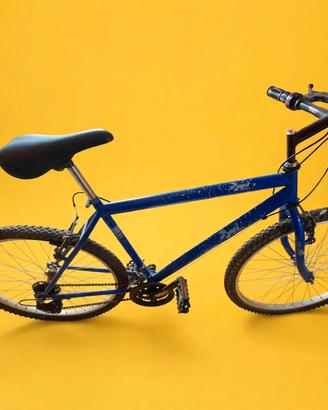 bicicletta baci perugina 