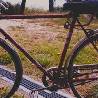 Mountain bike MTB city bike e classica 26 28 e 29