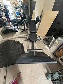 Hack Squat Force