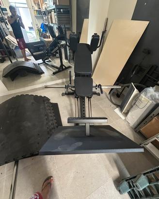Hack Squat Force