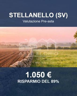 Immobile in asta di 7850 m² a Stellanello