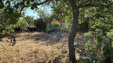 Terreno Edificabile - Gravina di Catania