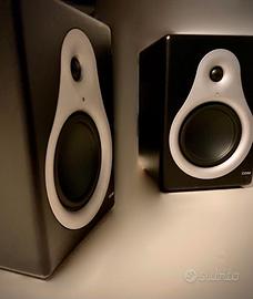 2 CASSE ACUSTICHE PROFESS.LI MONITOR M-AUDIO DSM1