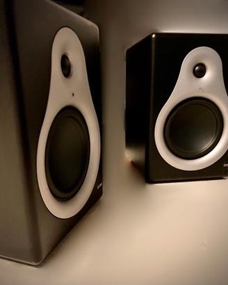 2 CASSE ACUSTICO STUD/PROF.LE MONITOR M-AUDIO DSM1