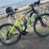 MTB 29 