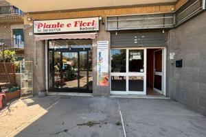 1 locale commerciale