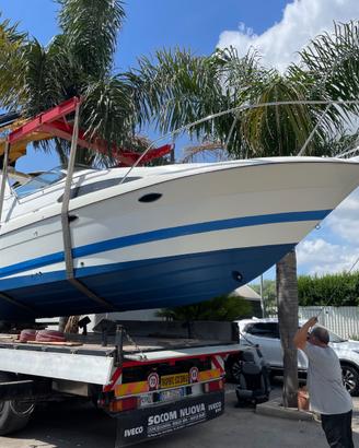 Accessori Bayliner 27.55/universali
