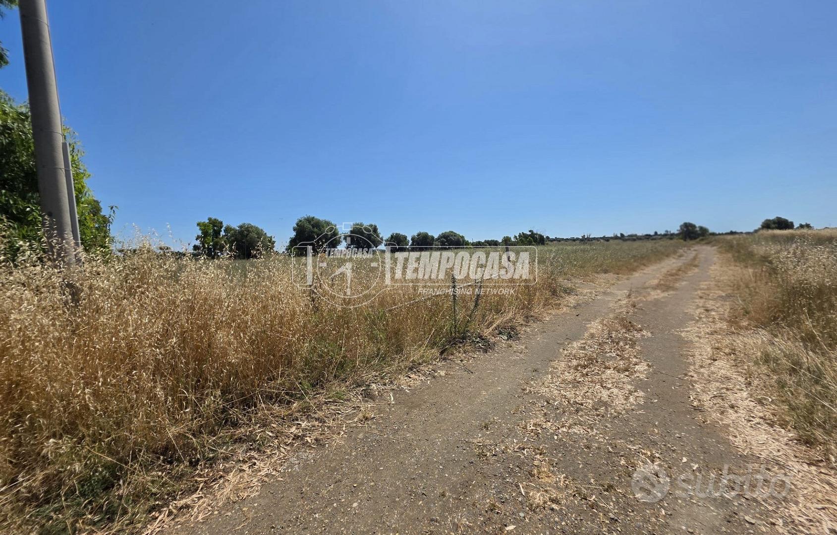 Terreno agricolo - Vista 3
