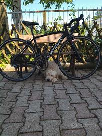 bici da corsa taglia S