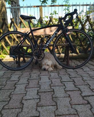 bici da corsa taglia S