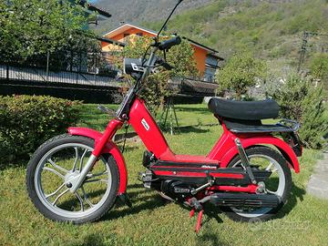 Atala Uno Rizzato 50 2M