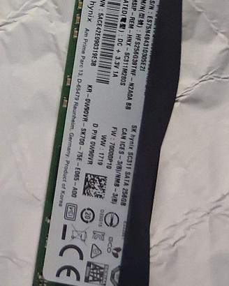 Hard disk statico 256Gb