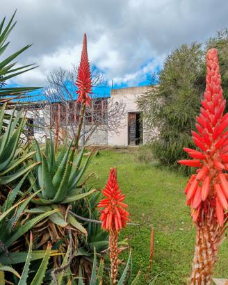 Casa agricola panoramica sul golfo con vigneti