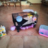 2 gabbie attrezzate  per criceto