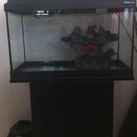 ACQUARIO askoll+mobiletto chiuso+filtro esterno