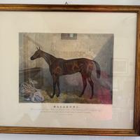 Stampe storiche equestri di Harry Hall