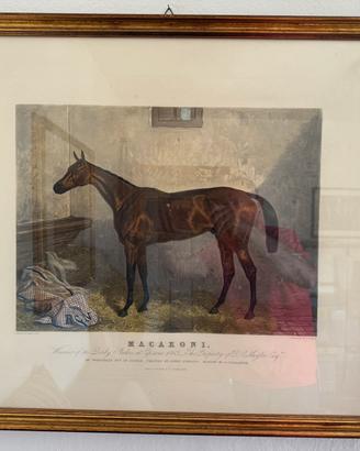 Stampe storiche equestri di Harry Hall