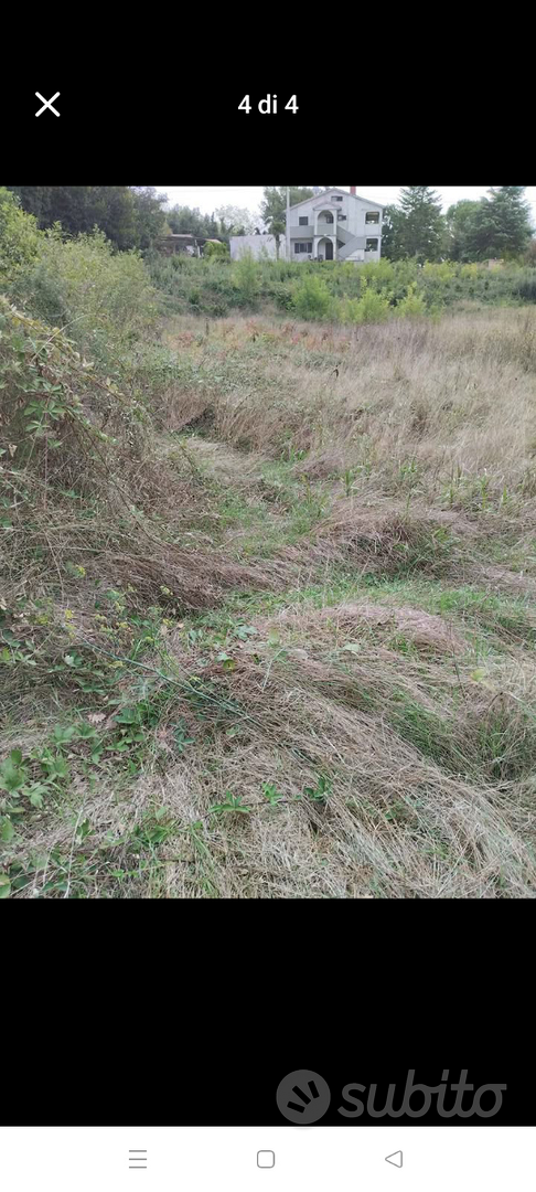 Terreni agricoli boschivi Istria Parenzo - Vista 4