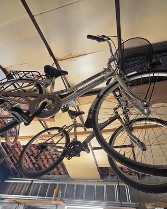 bici da adulto/ragazzo