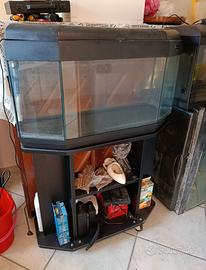 Acquario tutti e 3