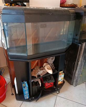 Acquario tutti e 3