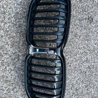 Griglia bmw seir 1