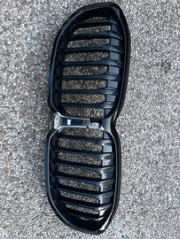 Griglia bmw seir 1