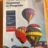 Grammar in Progress