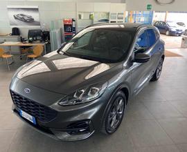 FORD Kuga 2.0 EcoBlue Hybrid 150 CV 2WD ST-Line