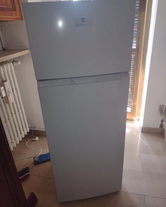 Frigo Electroline mod. TME28NSM1WEO 206 lt