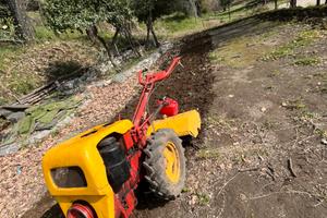 Motocoltivatore 14 cv