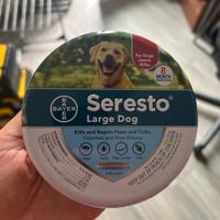 Collare cane grossa taglia