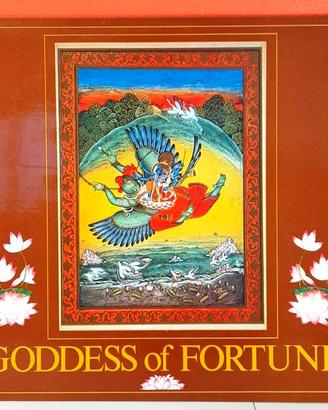 Disco Vinile Goddess Of Fortune 33 Giri - 12"