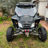 Arctic cat Wild cat 1000