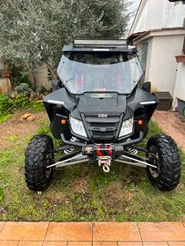 Arctic cat Wild cat 1000